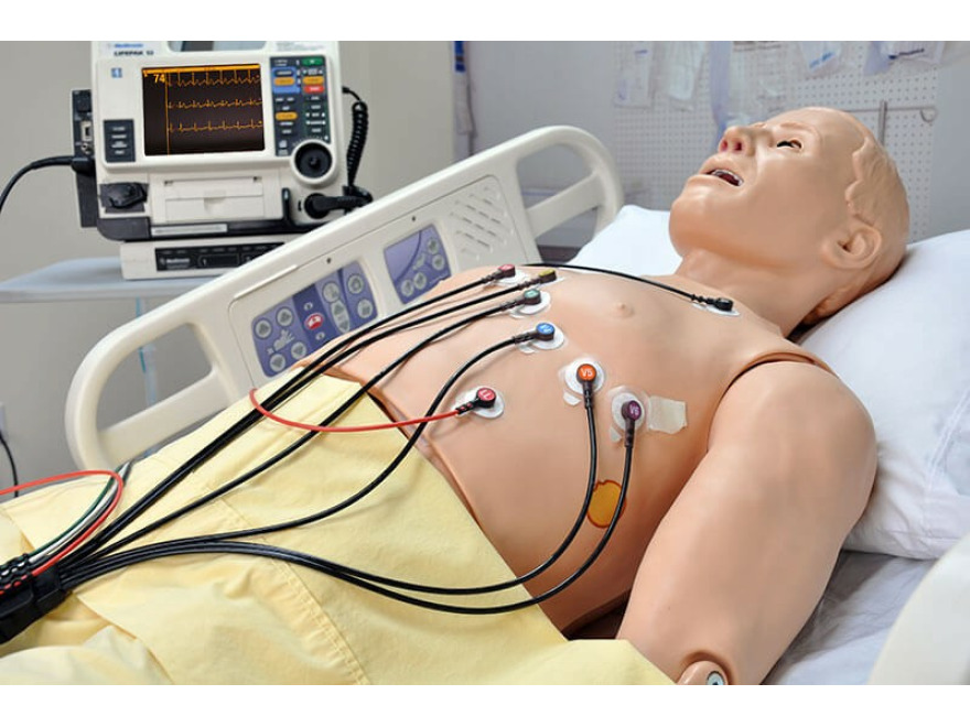 HAL S1020 - 12-svodov EKG simultor s integrovanm MI modelem