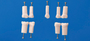 Endodontick model dtskch zub (zub . 54) - se zubnm kazem