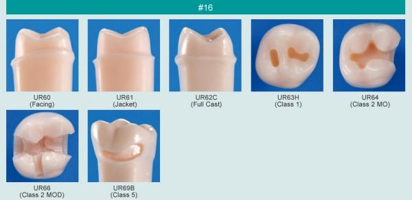 Model zubu pro ppravu pile mstku a itn zubu ped vpln (zub . 16)