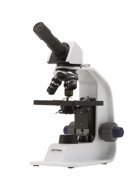 B-151 - Mikroskop koln