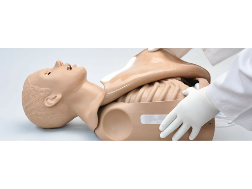 S308 - Simon BLS pro vuku CPR - torso