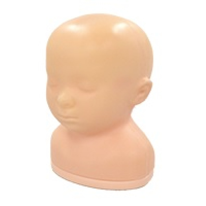 Ultrazvukov fantom hlavy novorozence (normln typ)