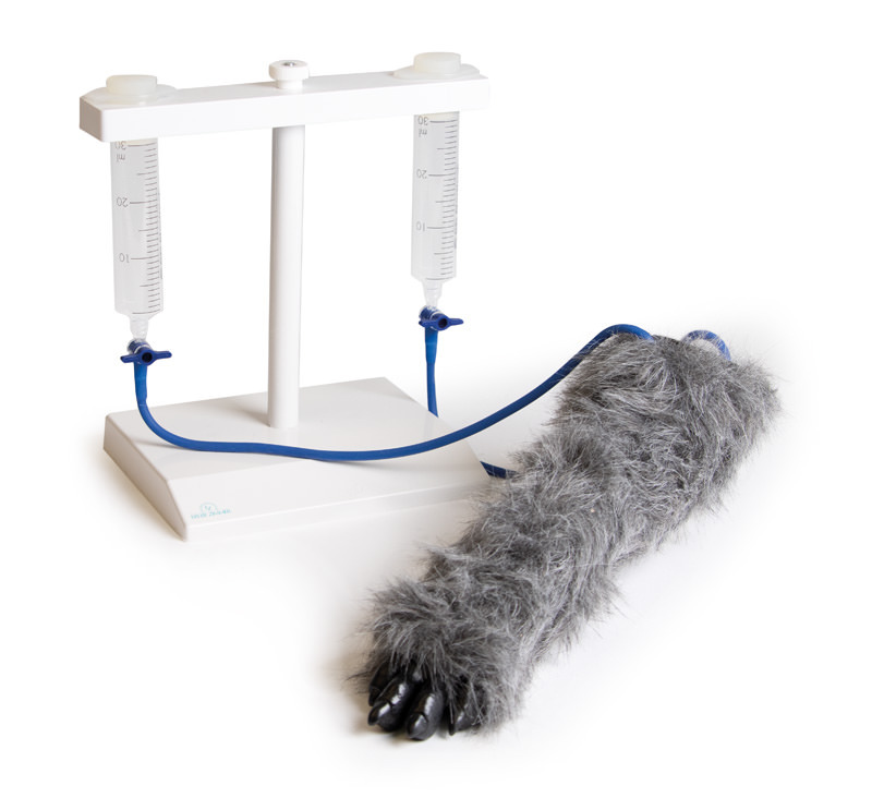 VET4610 - Simultor nohy psa pro intravenzn injekce